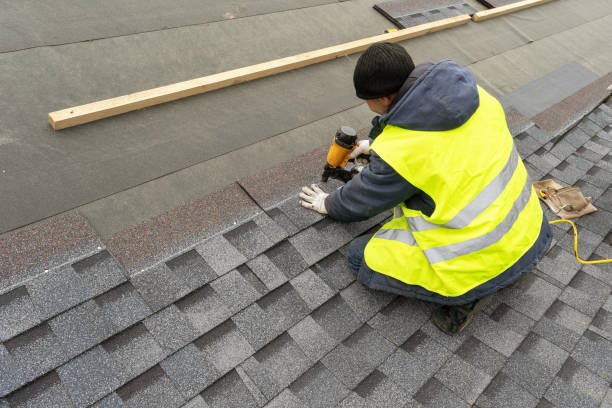 Best Roof Gutter Cleaning  in Vandalia, IL